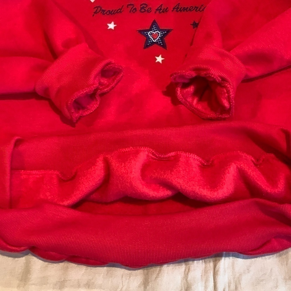 BonWorth “Proud to be American” Collared Sweater Size LP - Picture 15 of 16